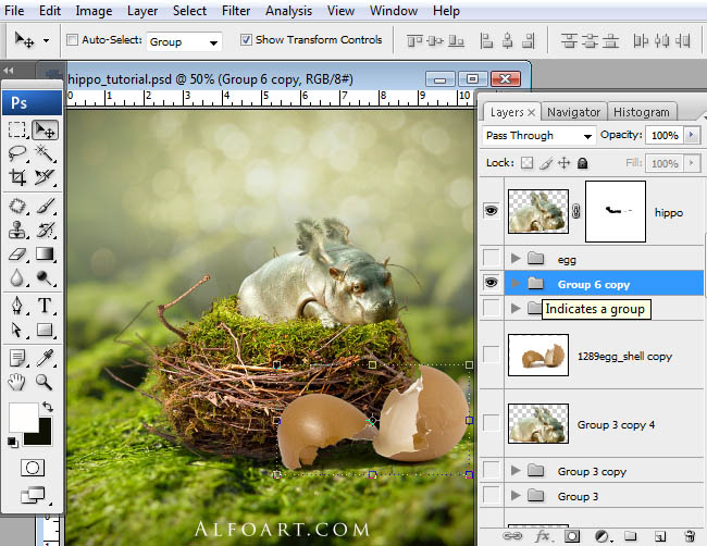 hippo, photoshop, nest, egg, shell, flying hippo, cute, baby, wings, hippopotamus, feathers
